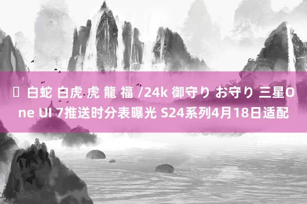 ✨白蛇 白虎 虎 龍 福 /24k 御守り お守り 三星One UI 7推送时分表曝光 S24系列4月18日适配