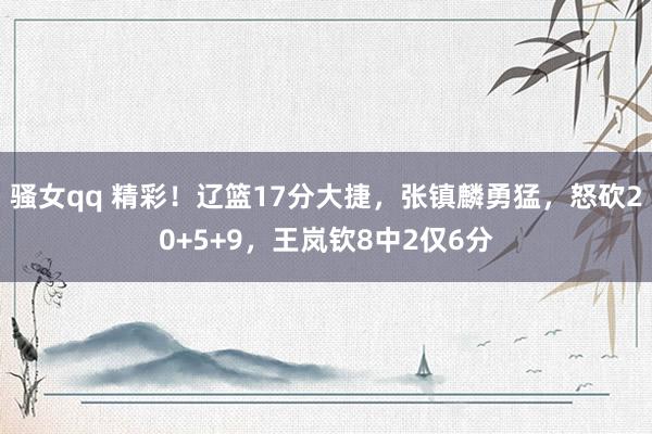骚女qq 精彩！辽篮17分大捷，张镇麟勇猛，怒砍20+5+9，王岚钦8中2仅6分