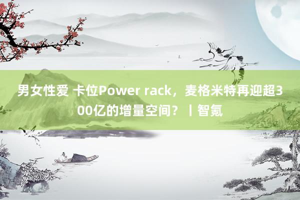 男女性爱 卡位Power rack，麦格米特再迎超300亿的增量空间？丨智氪