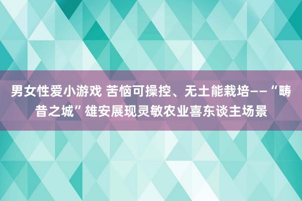 男女性爱小游戏 苦恼可操控、无土能栽培——“畴昔之城”雄安展现灵敏农业喜东谈主场景