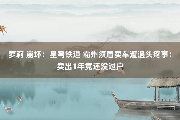 萝莉 崩坏：星穹铁道 霸州须眉卖车遭遇头疼事：卖出1年竟还没过户
