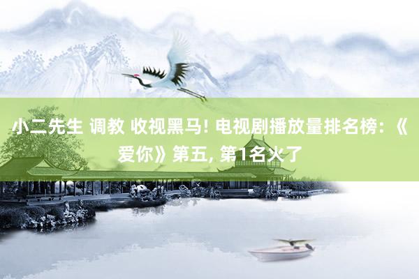 小二先生 调教 收视黑马! 电视剧播放量排名榜: 《爱你》第五， 第1名火了
