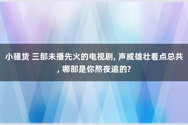 小骚货 三部未播先火的电视剧， 声威雄壮看点总共， 哪部是你熬夜追的?