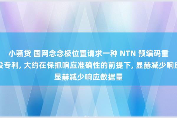 小骚货 国网念念极位置请求一种 NTN 预编码重要和安设专利， 大约在保抓响应准确性的前提下， 显赫减少响应数据量
