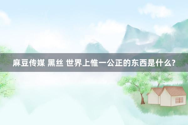 麻豆传媒 黑丝 世界上惟一公正的东西是什么?