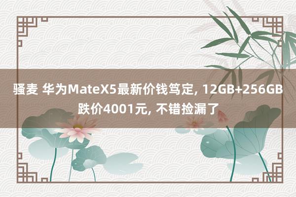 骚麦 华为MateX5最新价钱笃定， 12GB+256GB跌价4001元， 不错捡漏了