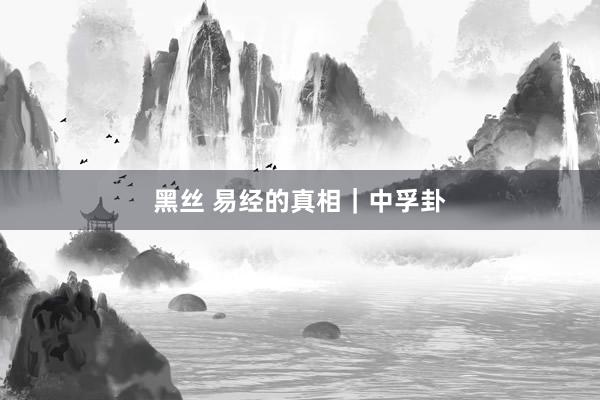 黑丝 易经的真相｜中孚卦