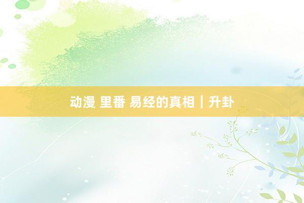 动漫 里番 易经的真相｜升卦