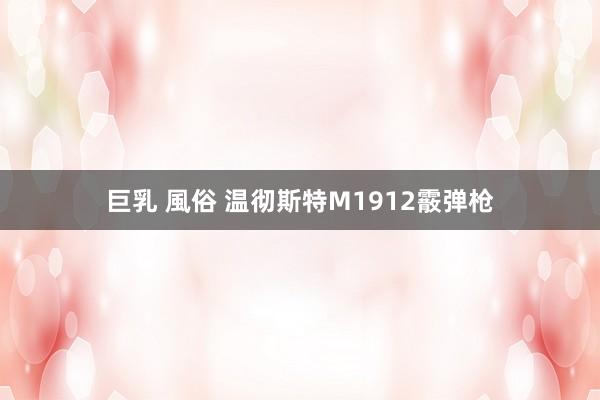 巨乳 風俗 温彻斯特M1912霰弹枪