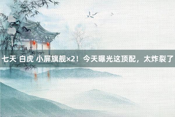 七天 白虎 小屏旗舰×2！今天曝光这顶配，太炸裂了