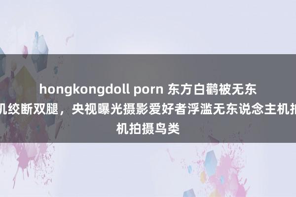 hongkongdoll porn 东方白鹳被无东说念主机绞断双腿，央视曝光摄影爱好者浮滥无东说念主机拍摄鸟类